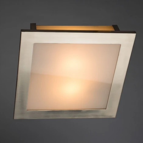 Потолочный светильник Arte Lamp Flushes A6064PL-2SS