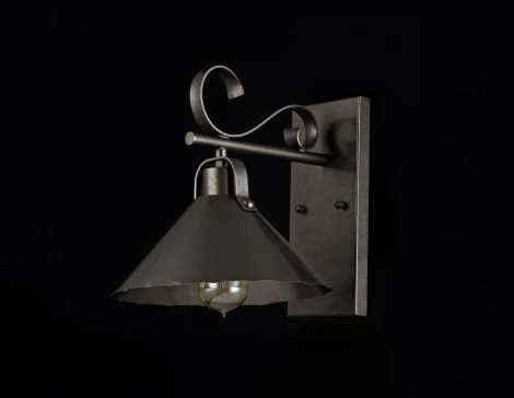 Бра Maytoni Iron H104-01-R