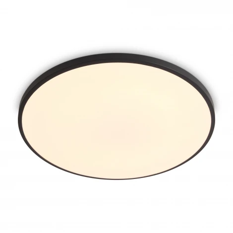 Потолочный светильник светодиодный Freya Obelle FR6211CL-L24B 24Вт LED