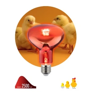 Лампочка инфракрасная E27 100Вт ЭРА ИКЗК 230-100 R95 E27