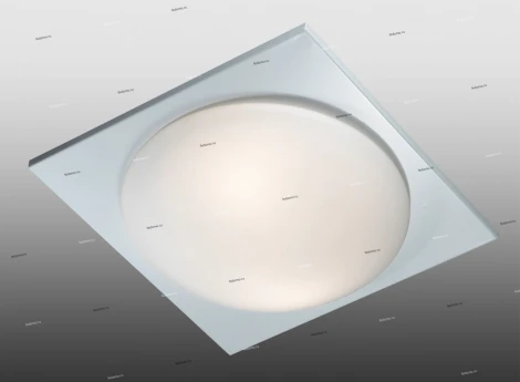 Настенно-потолочный светильник Odeon Light Brido 2762/2C
