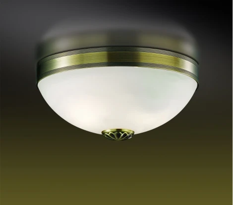 Потолочный светильник Odeon Light Ovale 1990/2C
