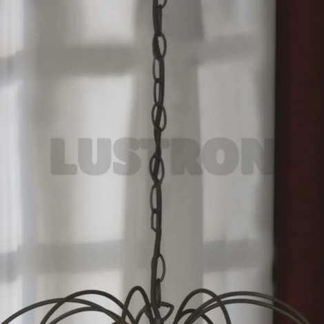 Подвесная люстра Lussole Raccolana LSQ-8503-09