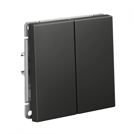 Выключатель двухклавишный (базальт) Systeme Electric GAL001417S