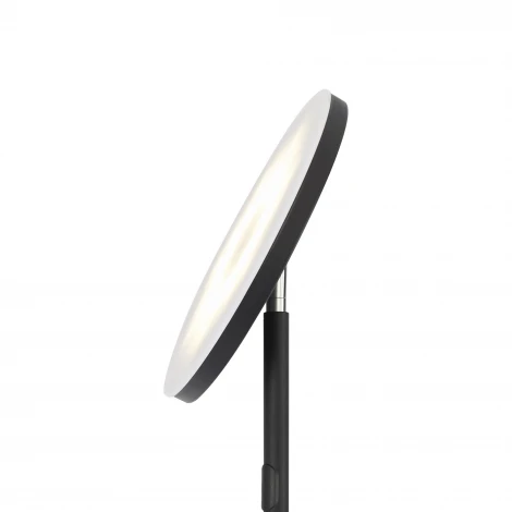 Торшер светодиодный Freya Mirasol FR6148FL-L36B 25Вт LED