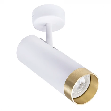 Спот Arte Lamp Topic A2357PL-1WH (220V, круглые)