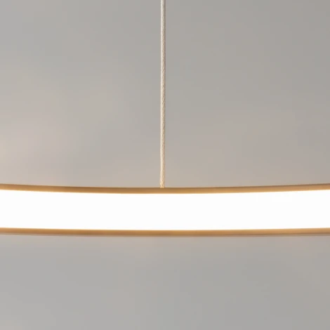 Подвесной светильник Maytoni Glint MOD072PL-L28B3K (LED, 220V, на тросе)