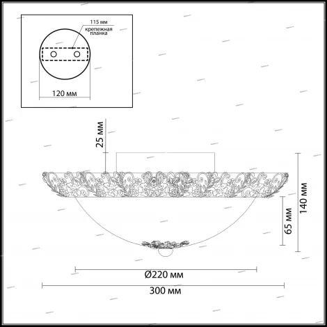 Настенно-потолочный светильник Odeon Light Balasa 2726/2C