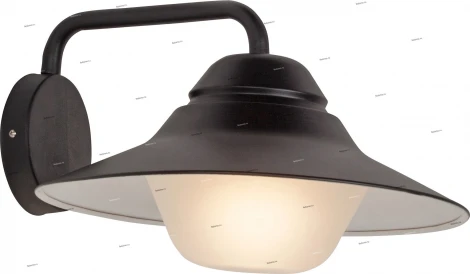 Настенный светильник уличный Brilliant Malmo 96242/63