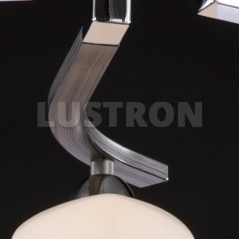 Потолочная люстра Maytoni Eurosize 1 MOD131-CL-05-N