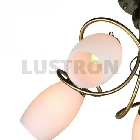 Потолочная люстра Omnilux Perthois OML-37227-05
