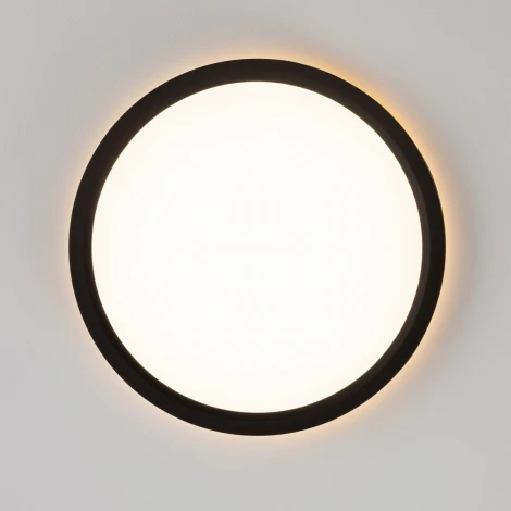 Настенно-потолочный светильник Citilux Norma CL748181 (LED, 220V, круглые)
