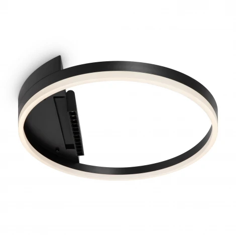 Потолочный светильник Freya Frame FR6084CL-L68B