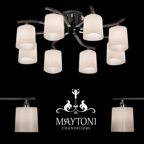 Потолочная люстра Maytoni Eurosize 1 MOD131-CL-08-N