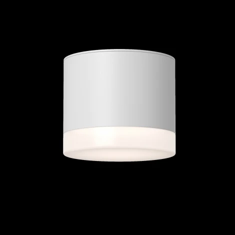 Потолочный светильник Maytoni Pauline C087CL-GX53-W GX53 1x15W (220V, круглые, IP44)