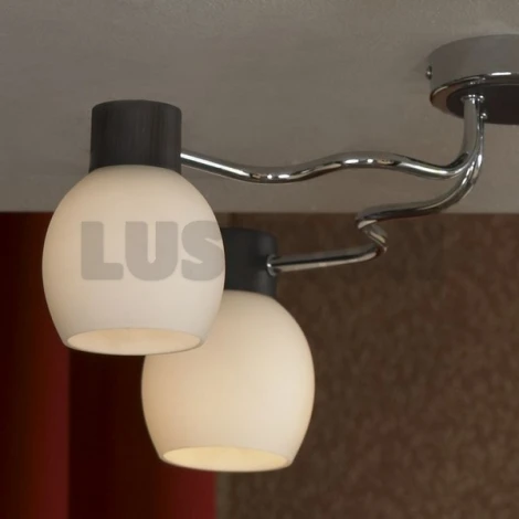 Потолочная люстра Lussole Carpino LSC-8503-05