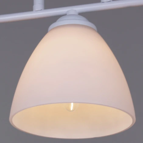 Потолочная люстра на штанге Reluce 44560-0.3-03 WH