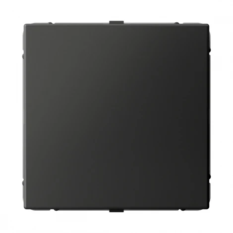 Заглушка (базальт) Systeme Electric GAL001409