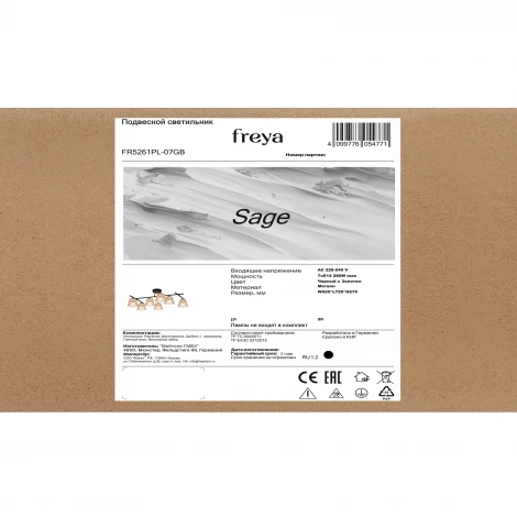 Потолочная люстра на штанге Freya Sage FR5261PL-07GB