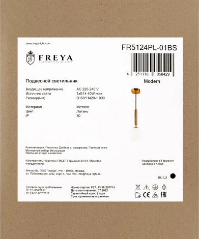 Подвесной светильник Freya Zelda FR5124PL-01BS (220V, на проводе, шар)