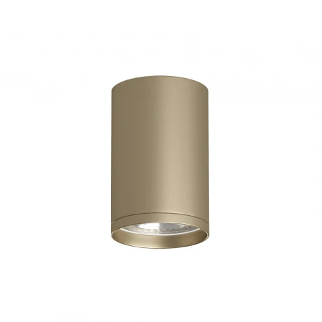 Точечный светильник накладной Denkirs Tube DK2050-SG (220V, круглые)