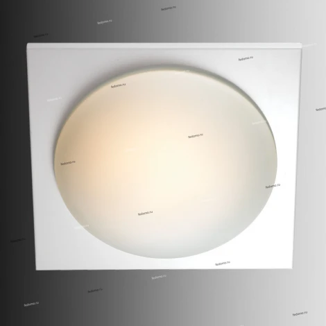Настенно-потолочный светильник Odeon Light Brido 2762/1C
