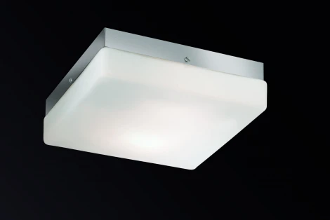 Настенно-потолочный светильник Odeon Light Hill 2406/1C
