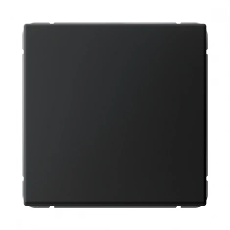 Переключатель одноклавишный (карбон) Systeme Electric GAL001061