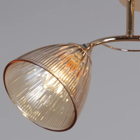 Подвесная люстра на штанге Reluce 02560-0.3-03 FG