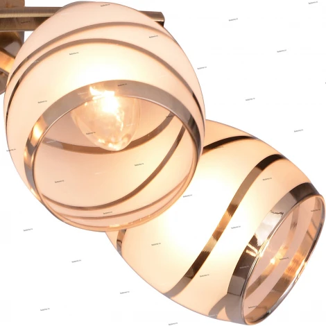 Потолочная люстра Toplight Polly TL3720X-05AB