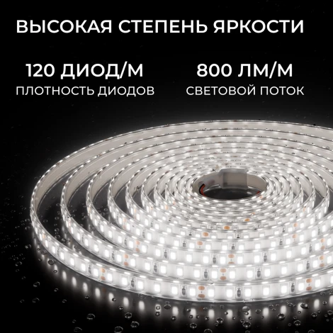 Светодиодная лента 24В 5м Apeyron 00-442