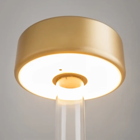 Настольная лампа с аккумулятором Maytoni AI Collaboration MOD229TL-L3G3K1 (регулировка яркости, LED, 220V, выключатель, круглые)