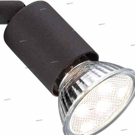 Спот Globo Olana & Oliwa 57382-1L