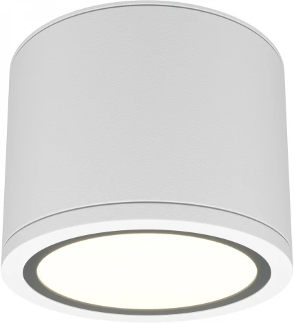 Накладной потолочный светильник Maytoni Rendo C095CL-GX53-W (220V, круглые, IP44)