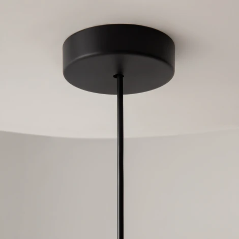 Подвесной светильник Maytoni Basic colors MOD167PL-01B (220V, на проводе)