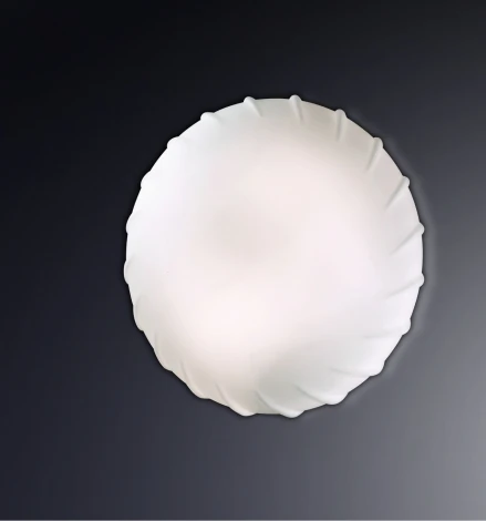 Настенно-потолочный светильник Odeon Light Opal 2247/2C