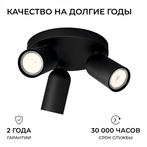 Спот Pongee plate/spiral black Philips 915005531301