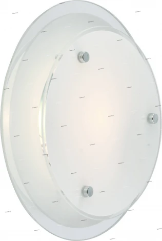 Потолочный светильник Arte Lamp Rapunzel A4867PL-2CC