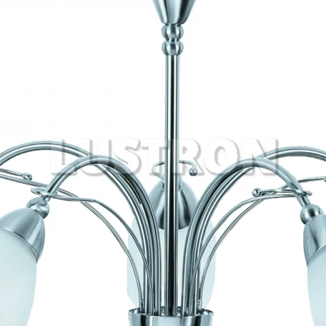 Подвесная люстра Arte Lamp Petal A4905LM-5SS