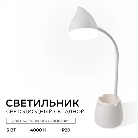 Настольная лампа Hat DSK213 PT 4.5W 40K W USB 02 Philips 929003241007