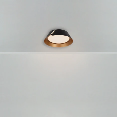 Потолочный светильник светодиодный Freya Portal FR6092CL-L72GB