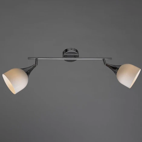 Спот Arte Lamp Trumpet A9556AP-2CC