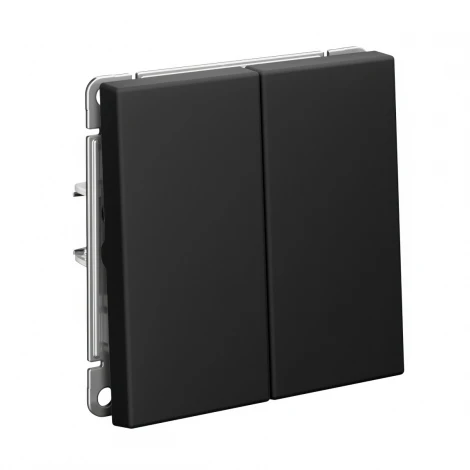 Выключатель двухклавишный (карбон) Systeme Electric GAL001051