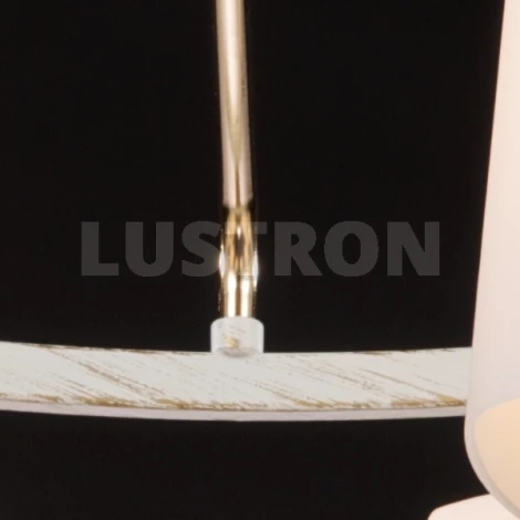 Потолочная люстра Maytoni Eurosize 6 TOC006-06-G