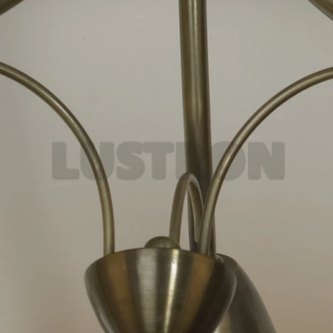 Потолочная люстра Lussole Cantu LSQ-1807-03