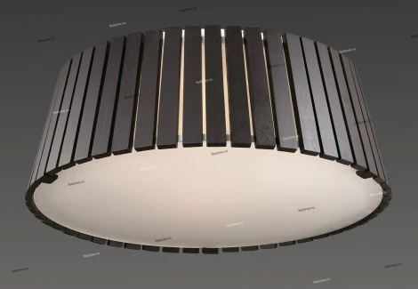 Потолочный светильник Odeon Light Aligo 2453/4C