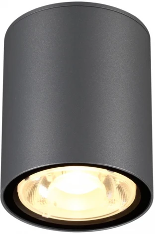 Потолочный светильник уличный Novotech Tumbler 358011 (LED, 220V, IP65)