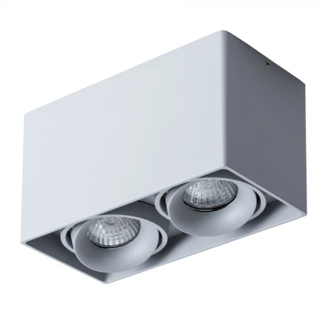 Накладной точечный светильник Arte Lamp Pictor A5654PL-2GY