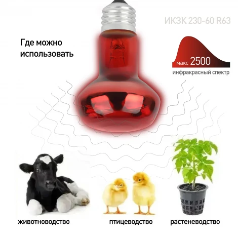 Лампочка инфракрасная E27 60 Вт 2 шт. ЭРА ИКЗК 230-60 R63 E27