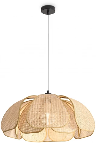 Подвесной светильник Freya Cocoon FR5529PL-01B (220V, на проводе)